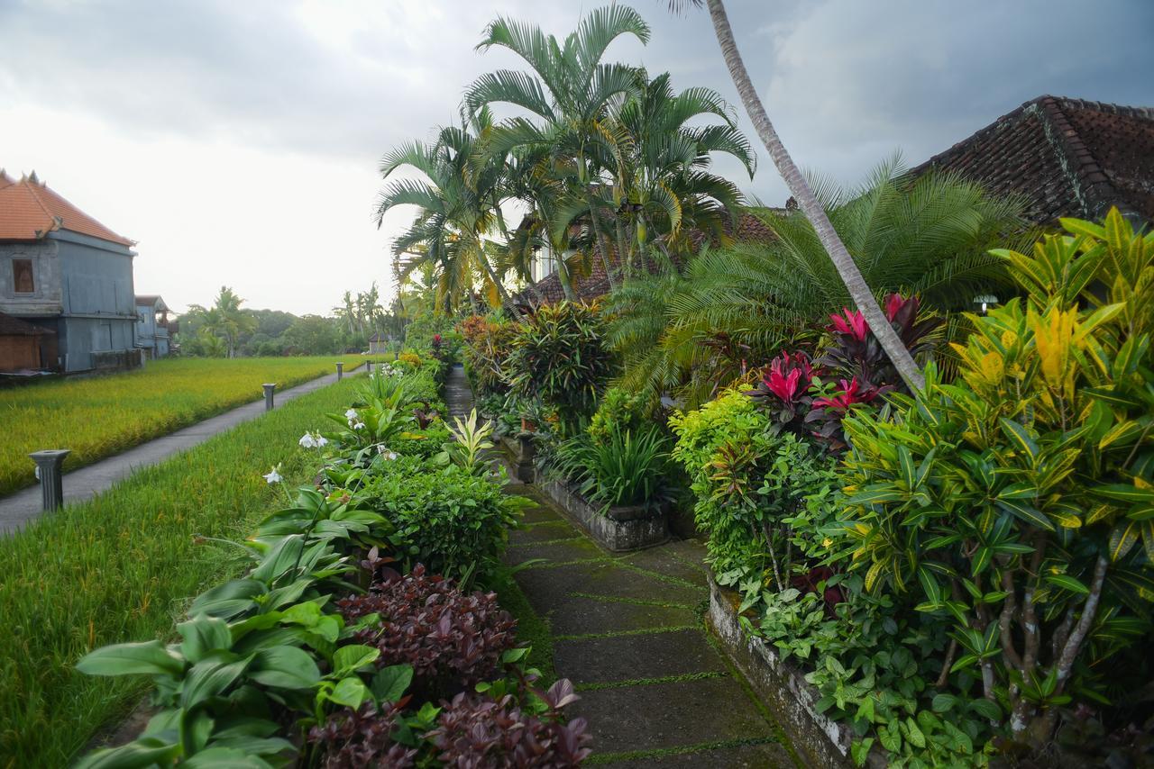 Ina Inn Ubud Esterno foto