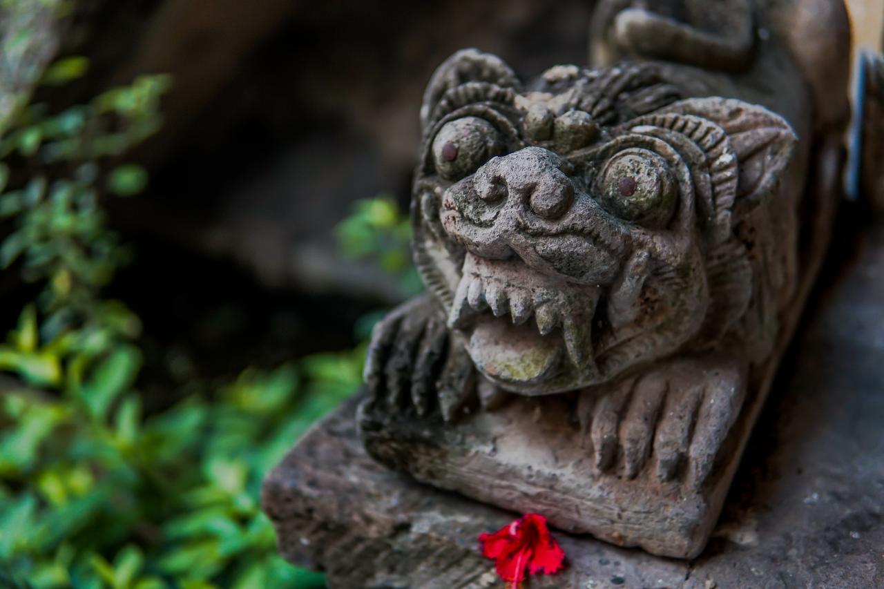 Ina Inn Ubud Esterno foto